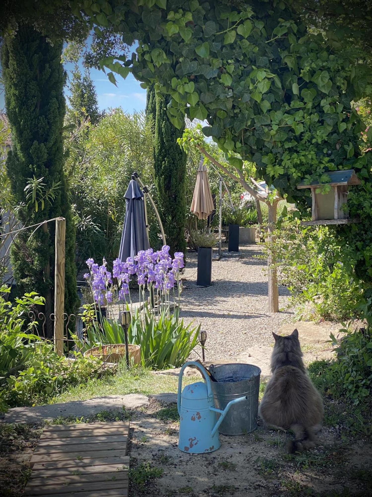 Le Jardin De Lau Villa Aubignan Luaran gambar