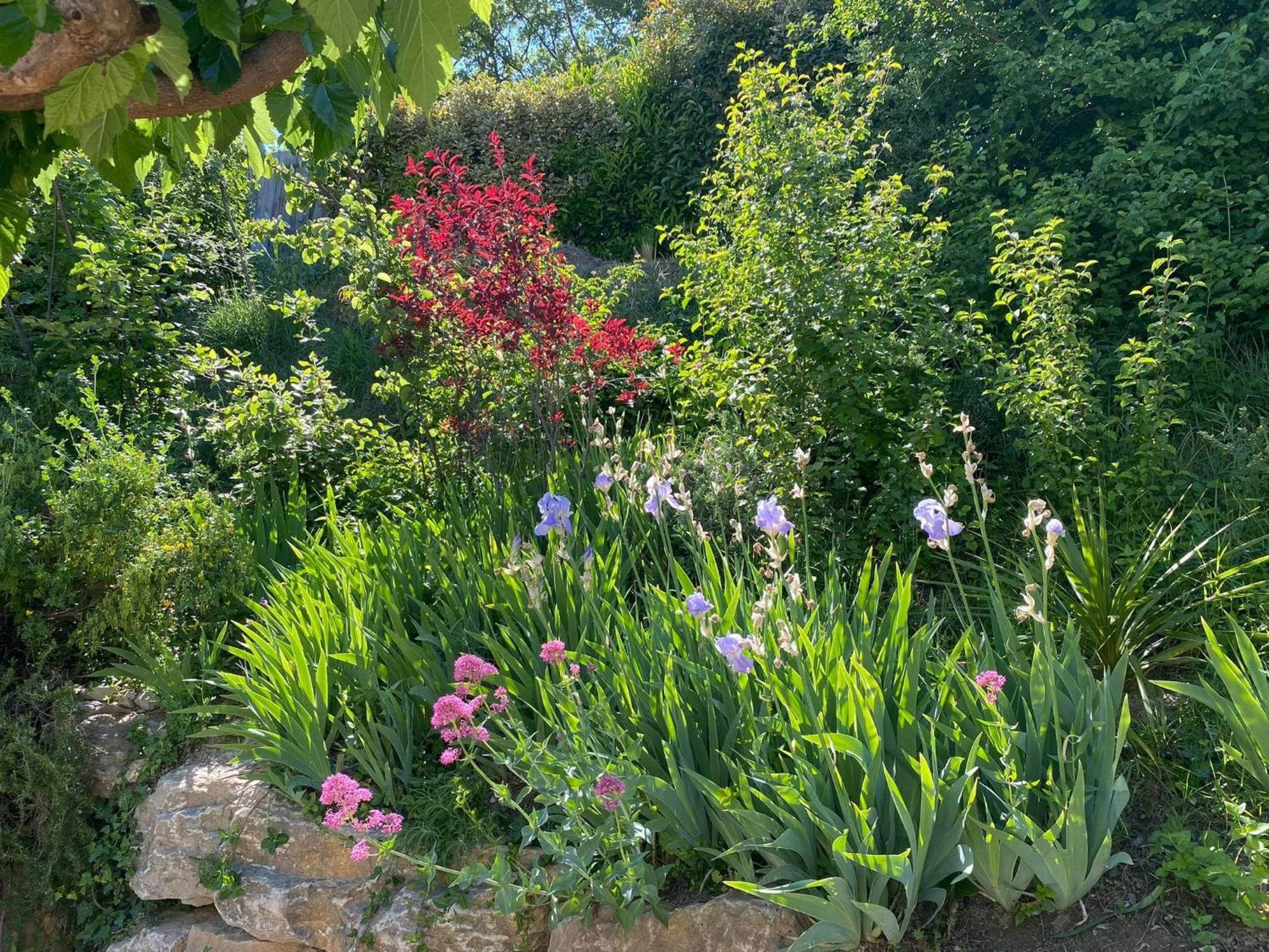 Le Jardin De Lau Villa Aubignan Luaran gambar